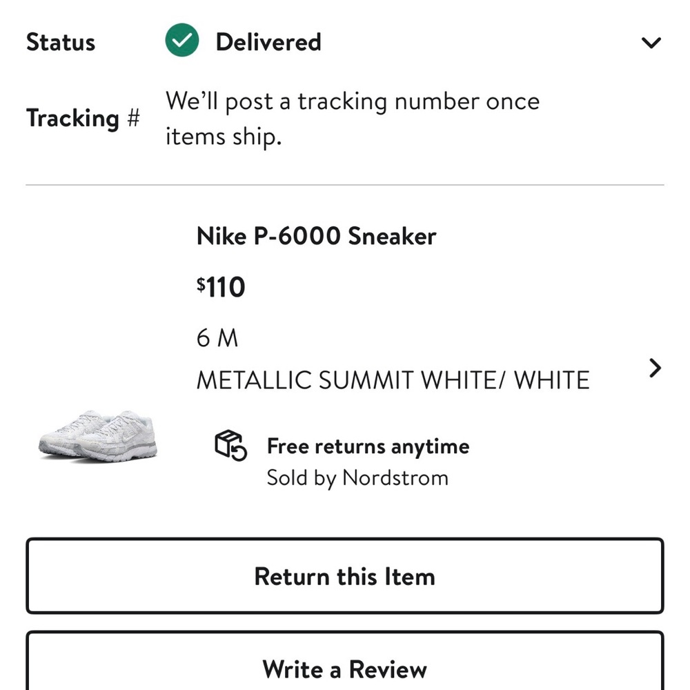 Nike P 6000